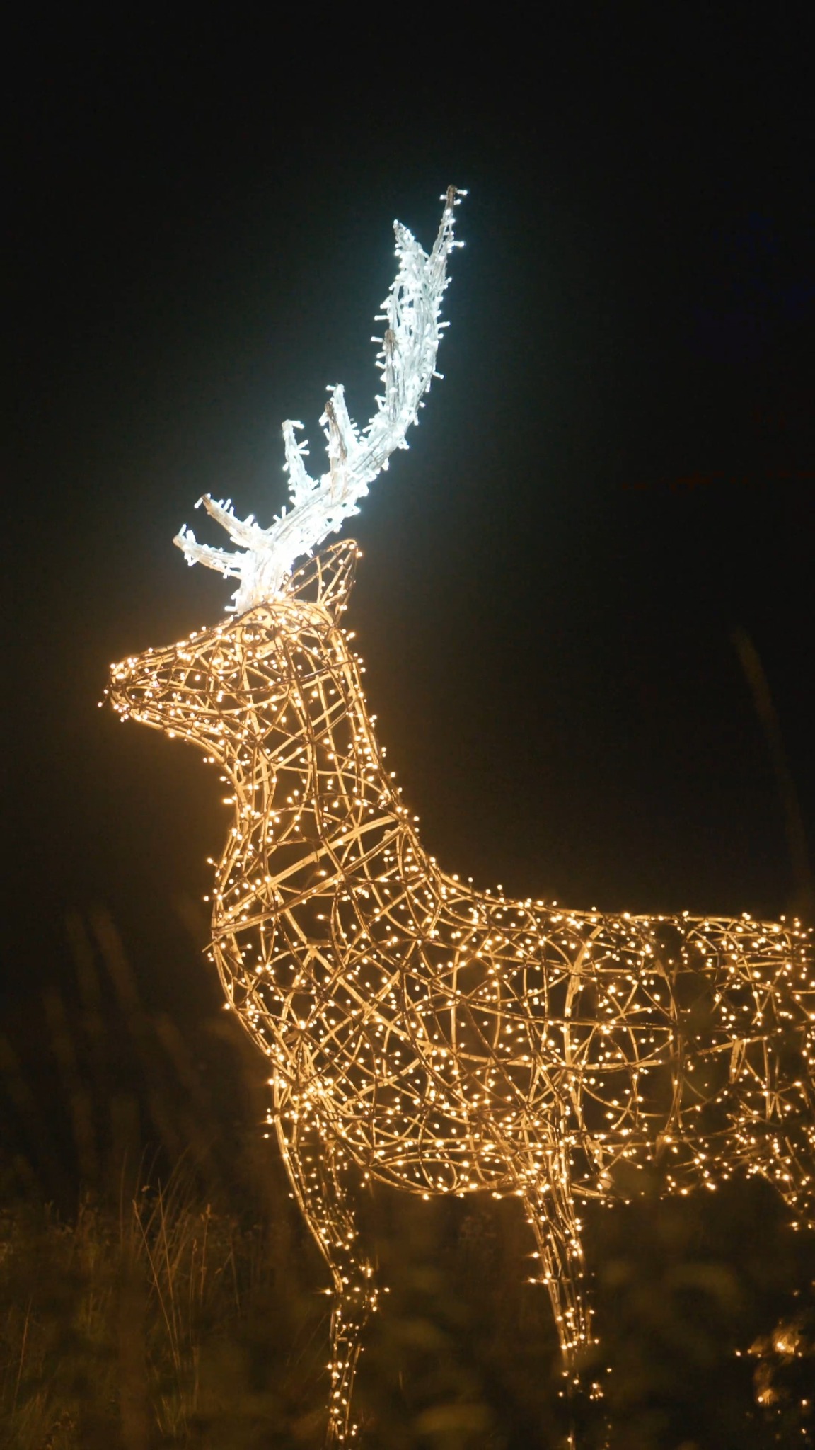 #storyoflights post