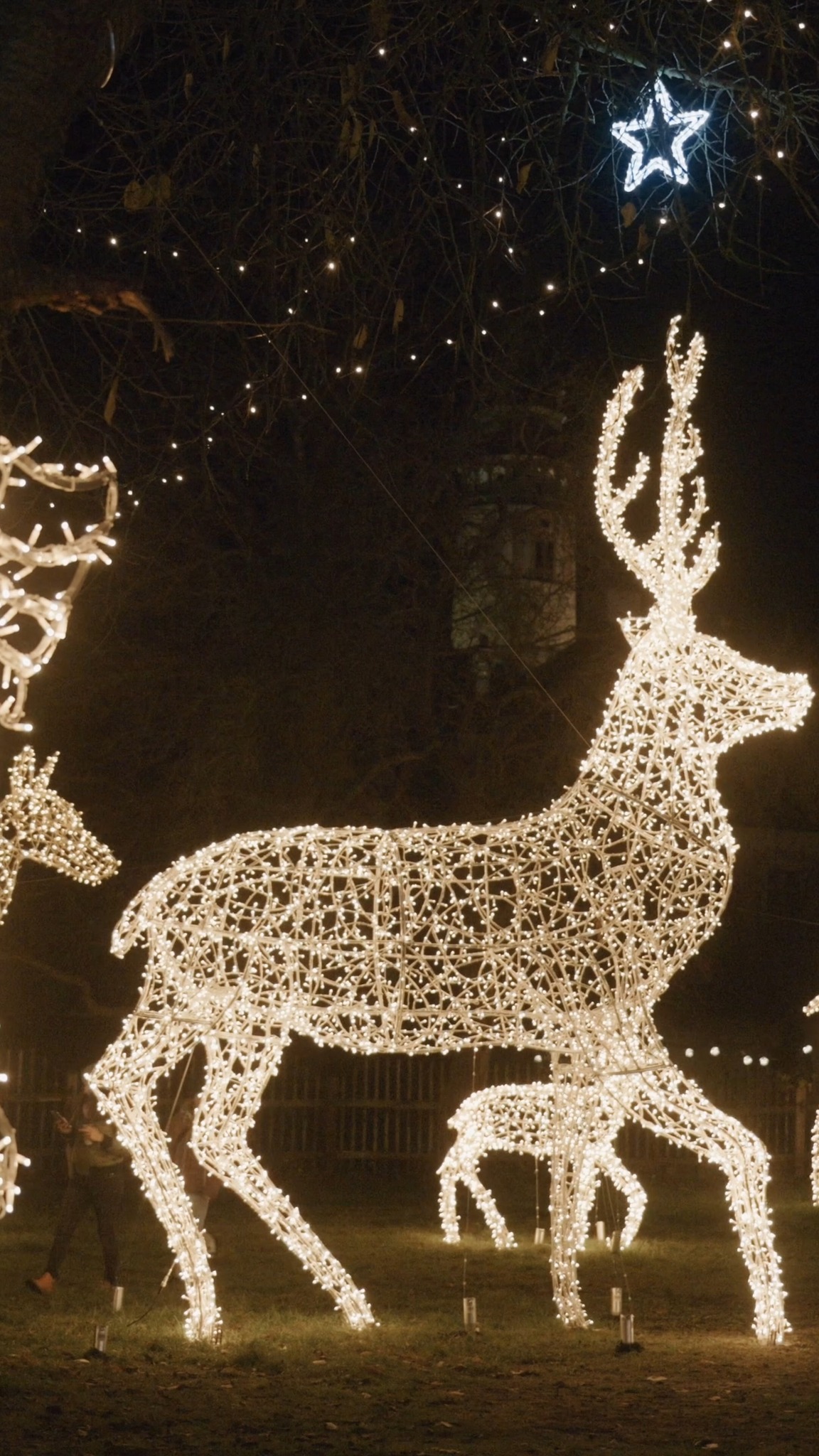 #storyoflights post