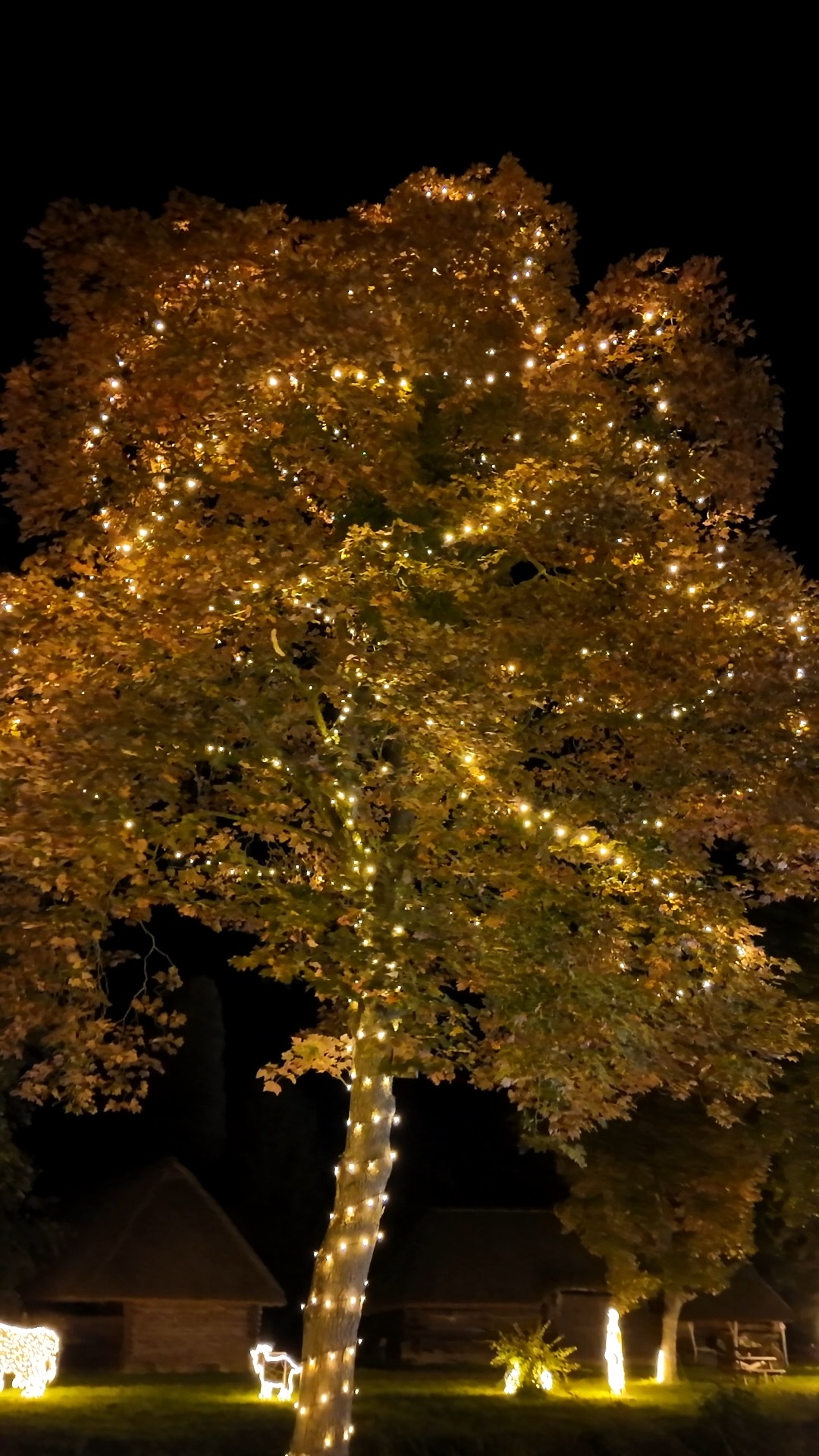 #storyoflights post